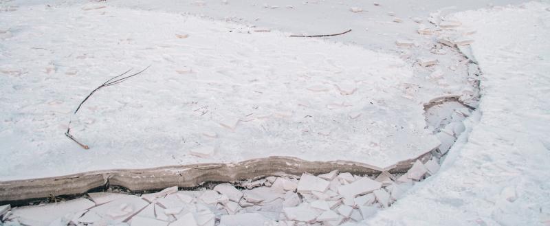 Тимур Бойков / Вологда-Поиск