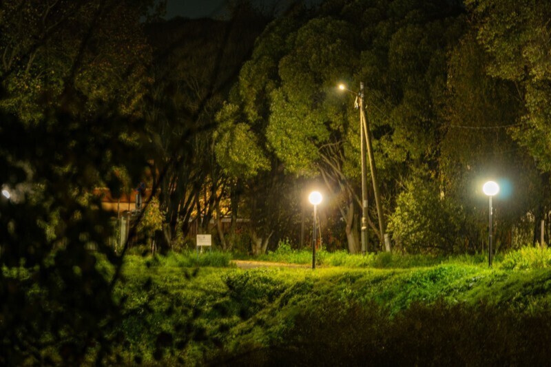 фото: Вологда-поиск