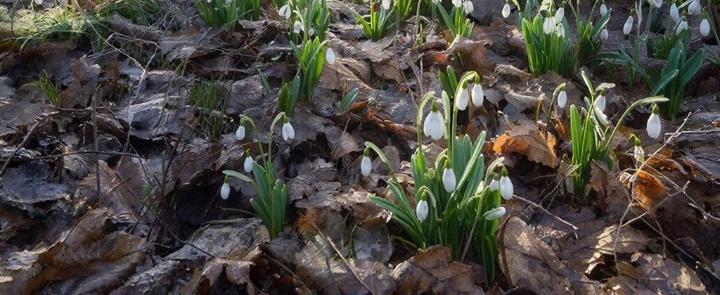 изображение сгенерировано ИИ 