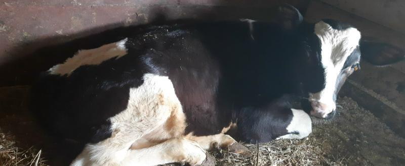 Ирина Дьякова, Vologda-poisk.ru