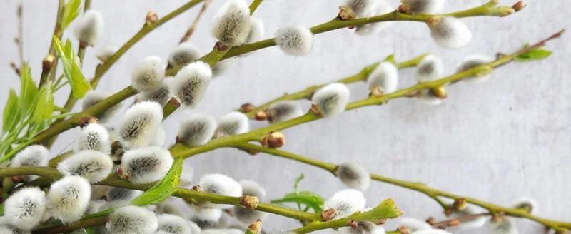 Изображение сгенерировано нейросетью