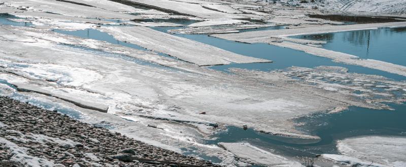 Тимура Бойкова/