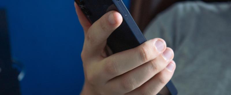 Фото Тимура Бойкова/Вологда-Поиск