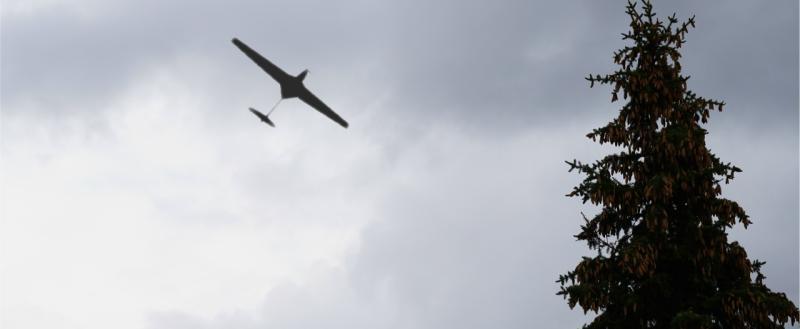 Тимура Бойкова/ 