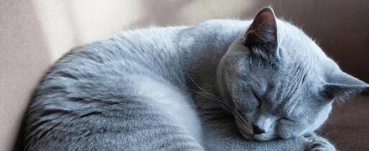 изображение сгенерировано ИИ 