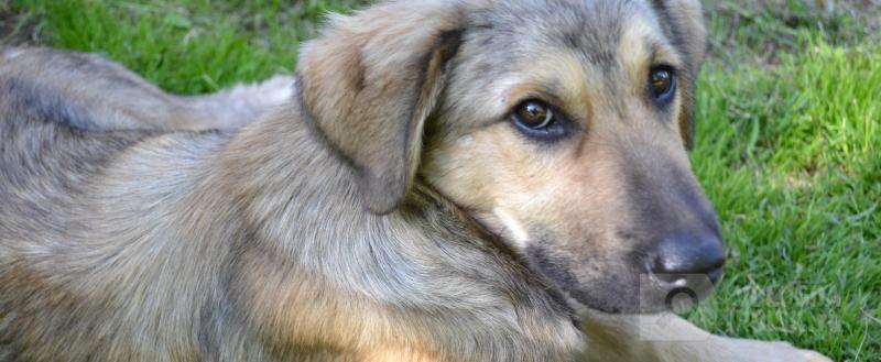 Вологда-Поиск