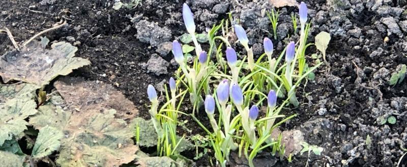 Вологда-поиск