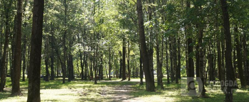 фото: Вологда-поиск