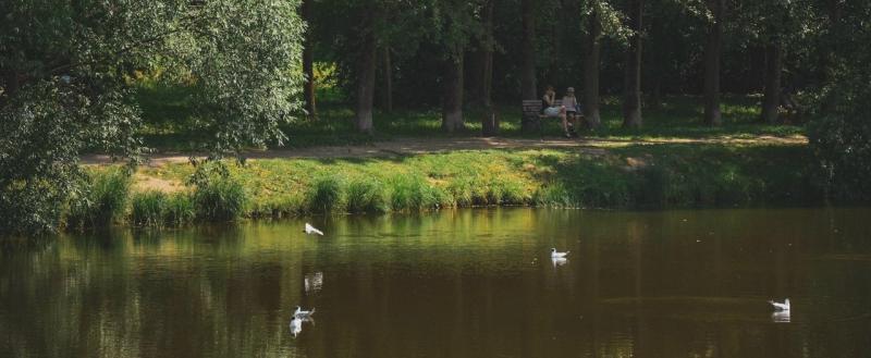 Тимур Бойков, Vologda-poisk.ru