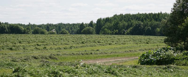 Фото Тимура Бойкова/Вологда-Поиск