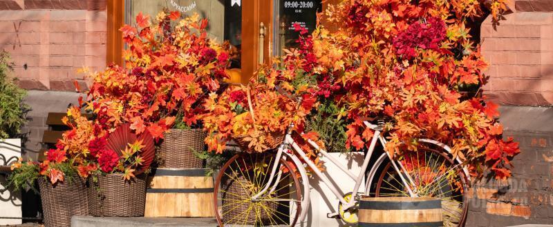 фото: Вологда-поиск