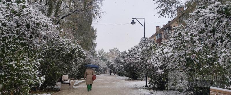 фото: Вологда-поиск