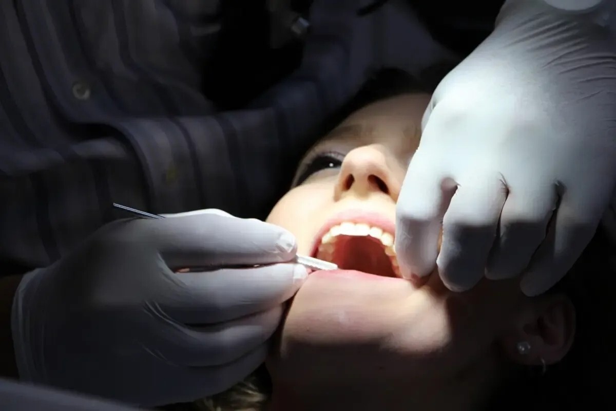 Фото: pxhere.com