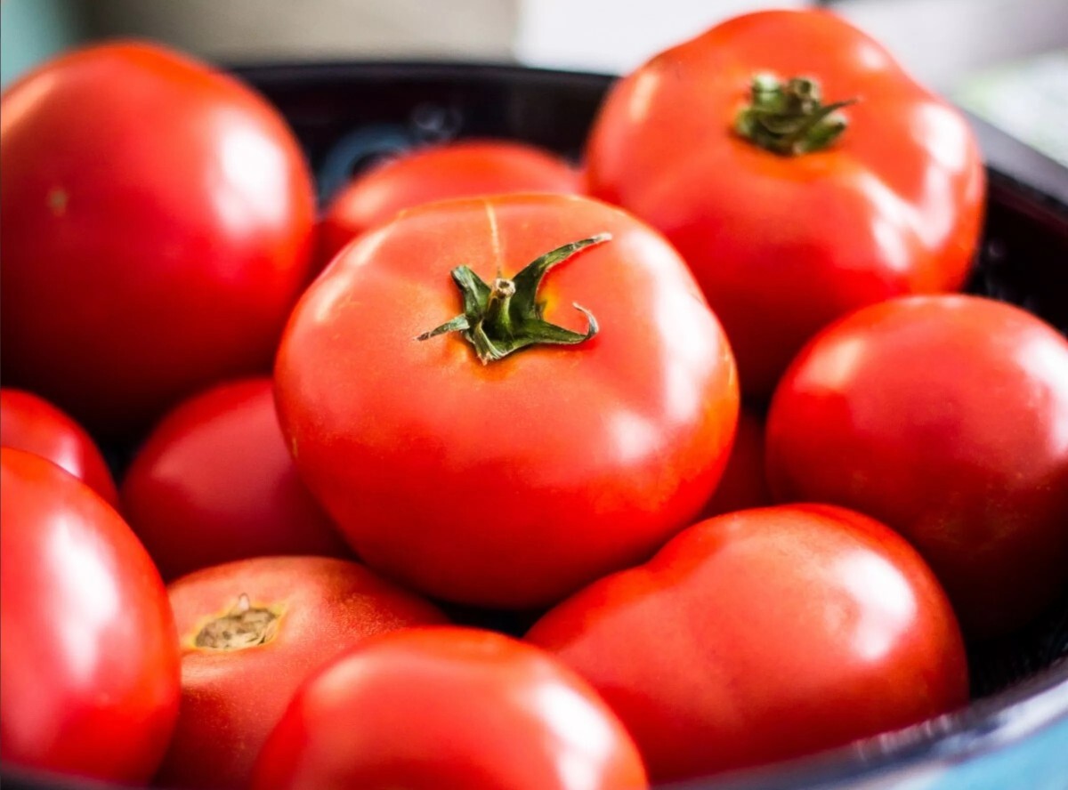 Фото: pxhere.com