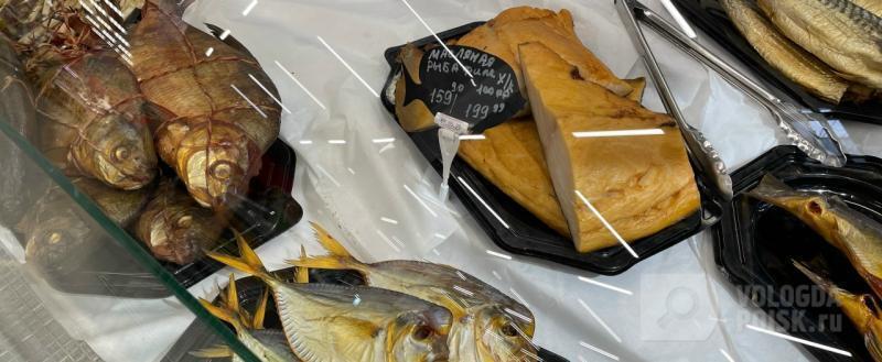 Вологда-поиск