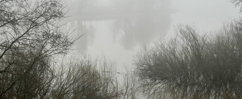 Тимур Бойков, Vologda-poisk.ru