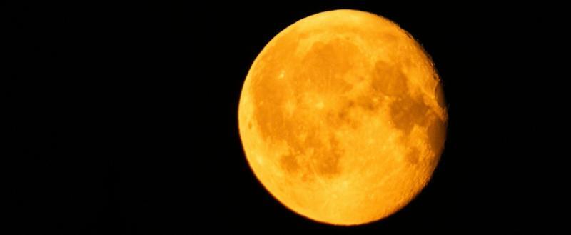 Тимур Бойков, Vologda-poisk.ru