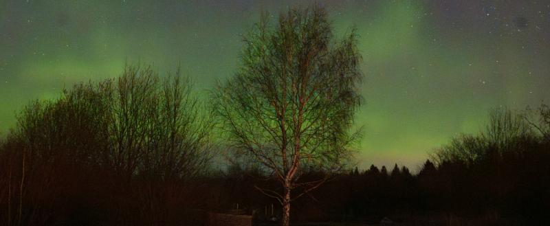 Тимур Бойков, Vologda-poisk.ru
