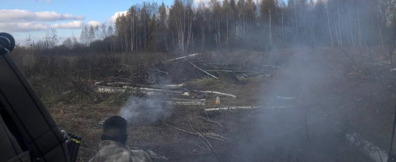 Анна Язинская, Vologda-poisk.ru