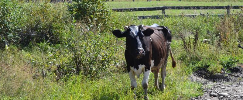 Вологда-поиск