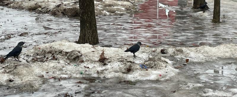 Никита Трушков, Vologda-Poisk.ru