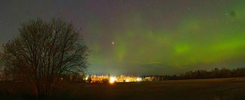 Тимур Бойков, Vologda-poisk.ru