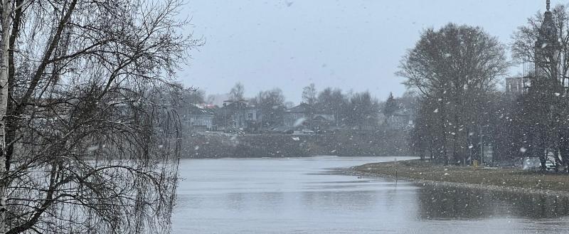Фото Тимура Бойкова/Вологда-Поиск