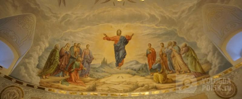 Вологда-поиск