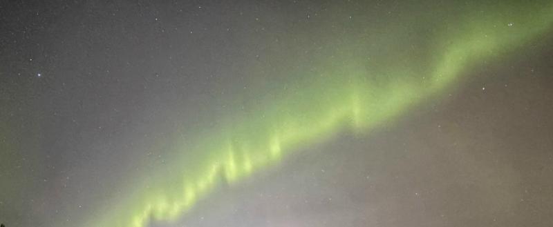 Тимур Бойков, Vologda-poisk.ru