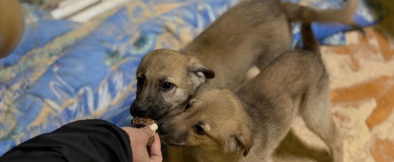 Череповецкое региональное отделение 