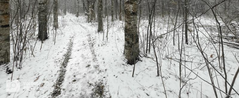 Тимур Бойков, Vologda-poisk.ru