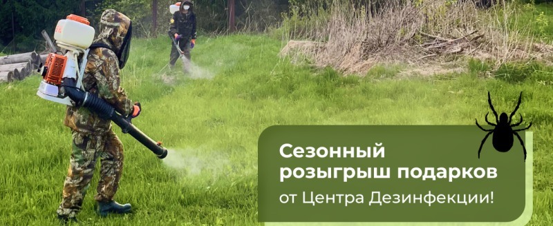 Центр дезинфекции в Вологде открывает сезон охоты на клещей и борщевик и разыгрывает подарки