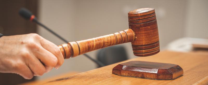 Фото Тимура Бойкова/Вологда-Поиск