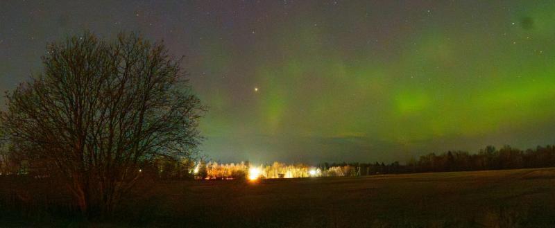 Тимур Бойков, Vologda-poisk.ru