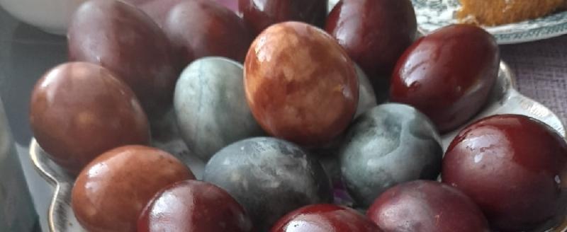 Фото Тимура Бойкова. Вологда-поиск