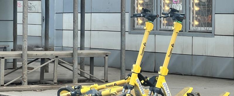 Фото Тимура Бойкова/Вологда-Поиск