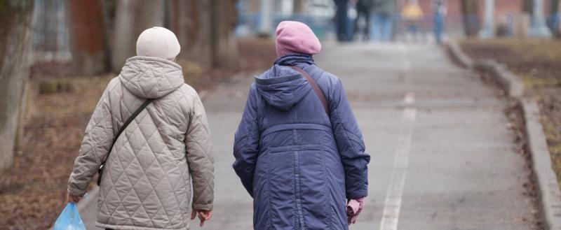 Фото Тимура Бойкова/Вологда-Поиск