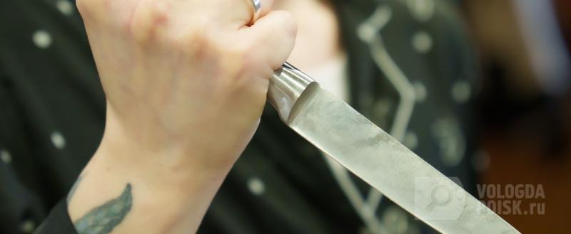 фото: Вологда-поиск