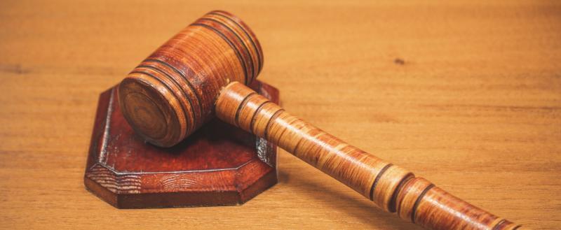 Фото Тимура Бойкова/Вологда-Поиск