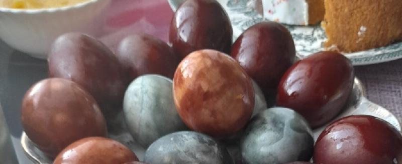 Фото: портал «Вологда-Поиск»