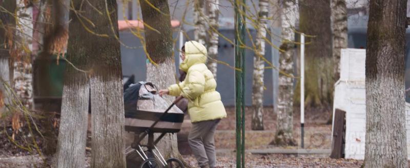 Вологда-поиск