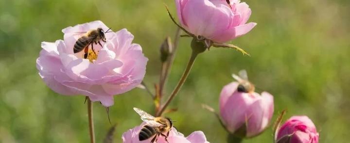 Изображение сгенерировано нейросетью