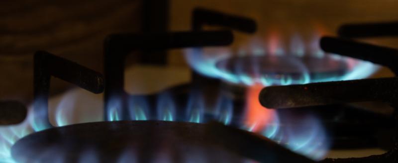 Фото Тимура Бойкова/Вологда-Поиск