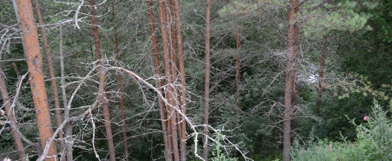 Вологда-поиск