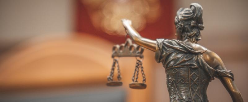 Фото Тимура Бойкова/Вологда-Поиск