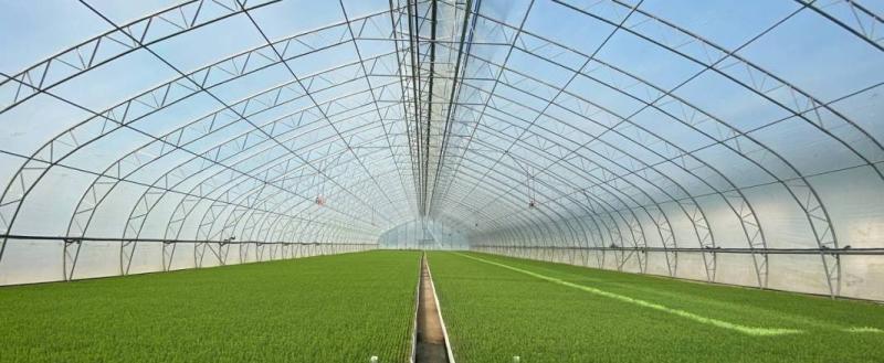 Фото пресс-службы правительства Вологодской области