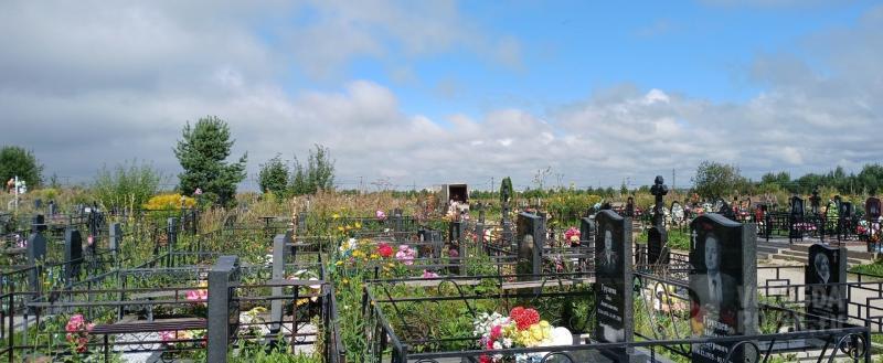 Вологда-поиск