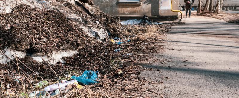 Фото Тимура Бойкова/Вологда-Поиск