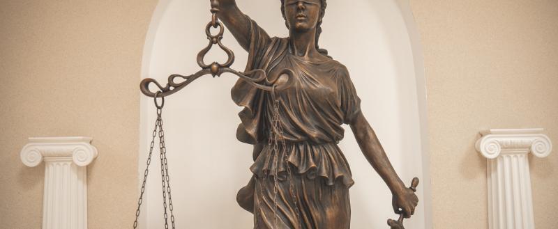 Фото Тимура Бойкова/Вологда-Поиск