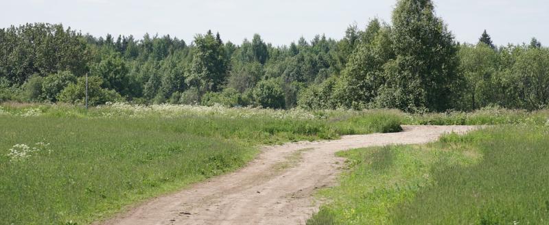 Фото: портал «Вологда-Поиск»